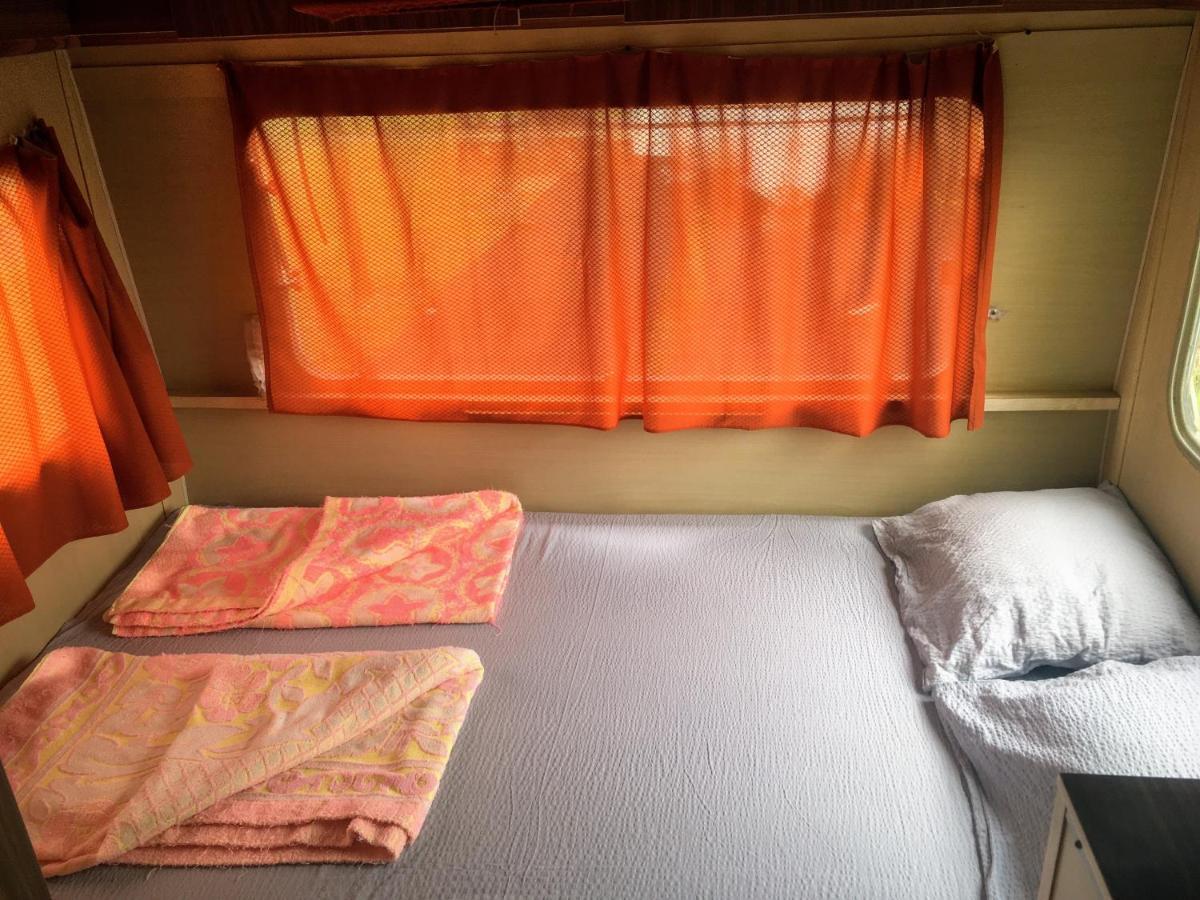 Camping Oaza Bela Crkva  Ngoại thất bức ảnh