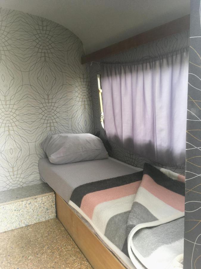 Camping Oaza Bela Crkva  Ngoại thất bức ảnh
