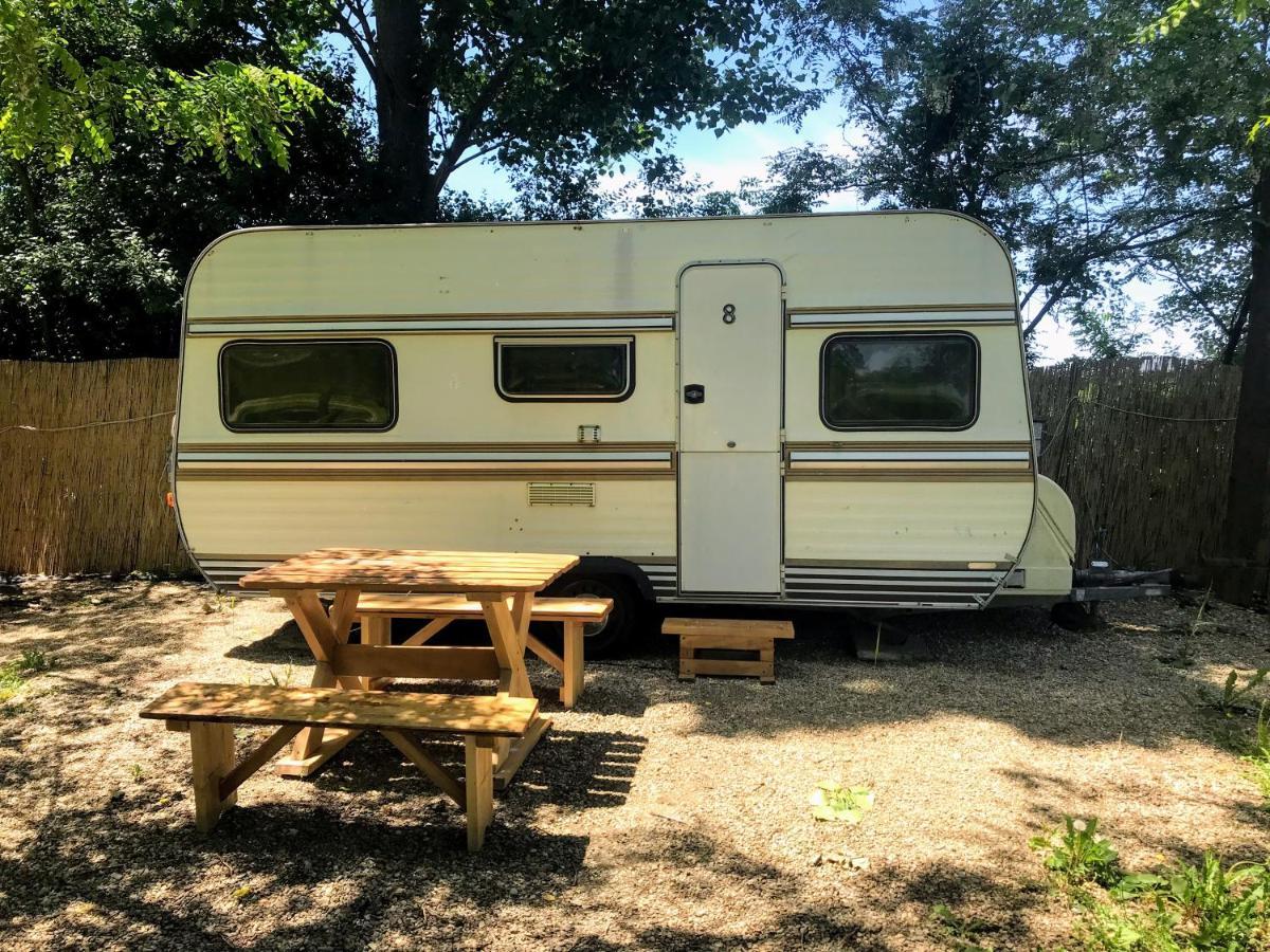 Camping Oaza Bela Crkva  Ngoại thất bức ảnh