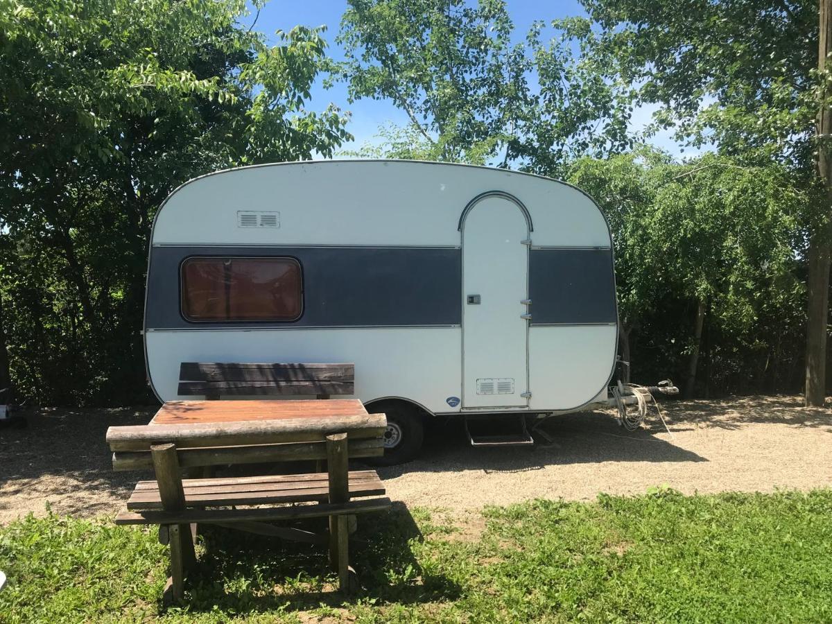 Camping Oaza Bela Crkva  Ngoại thất bức ảnh